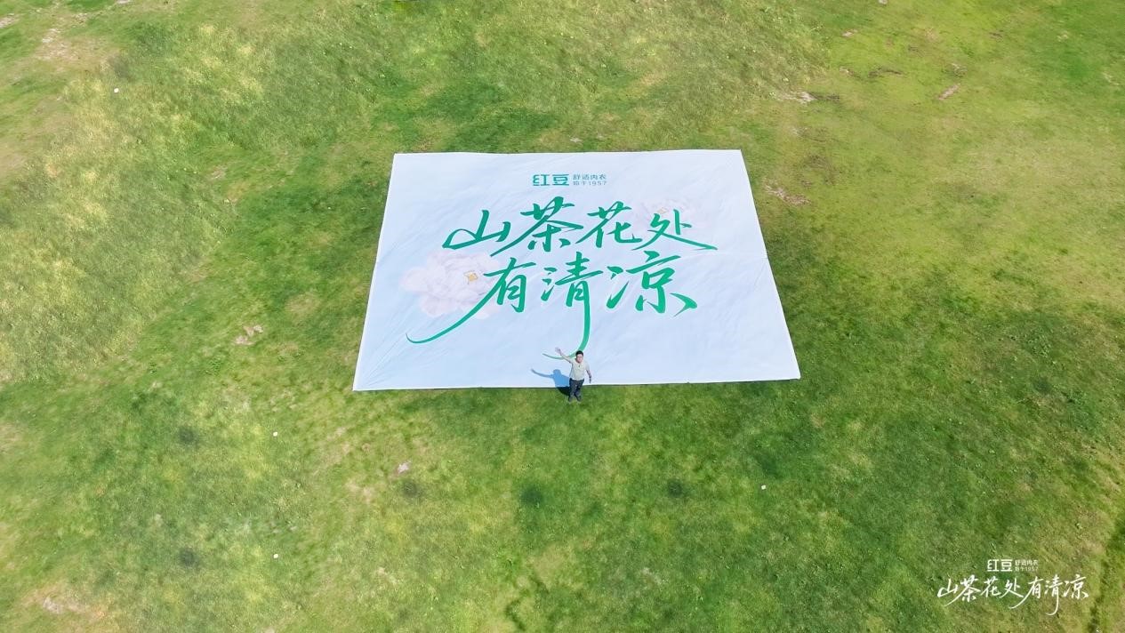 钱柜娱乐官网棉山茶花1